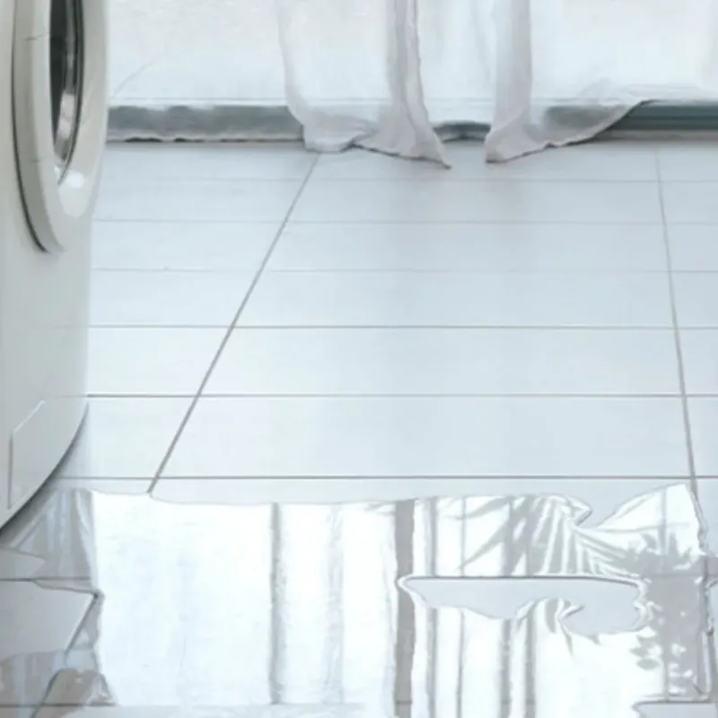 Appliance Leak Cleanup in Ramona, CA